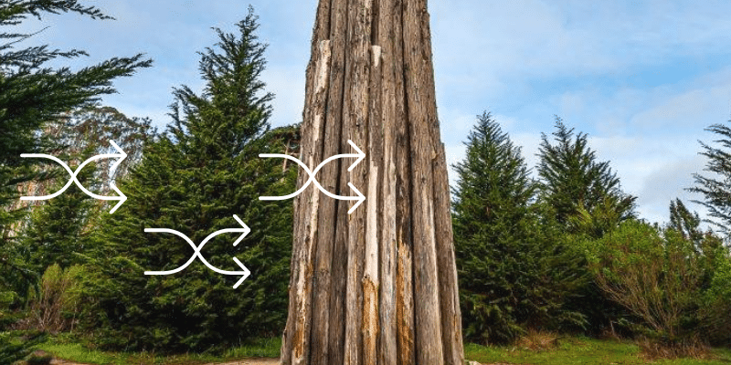 Navigating the Shift from Options to RSUs: The Why, When, and How Navigating the Shift from Options to RSUs: The Why, When, and How